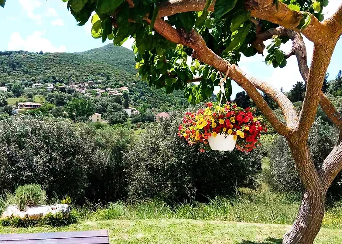 Lily Home_lefkada ~ Private * Kondaraina